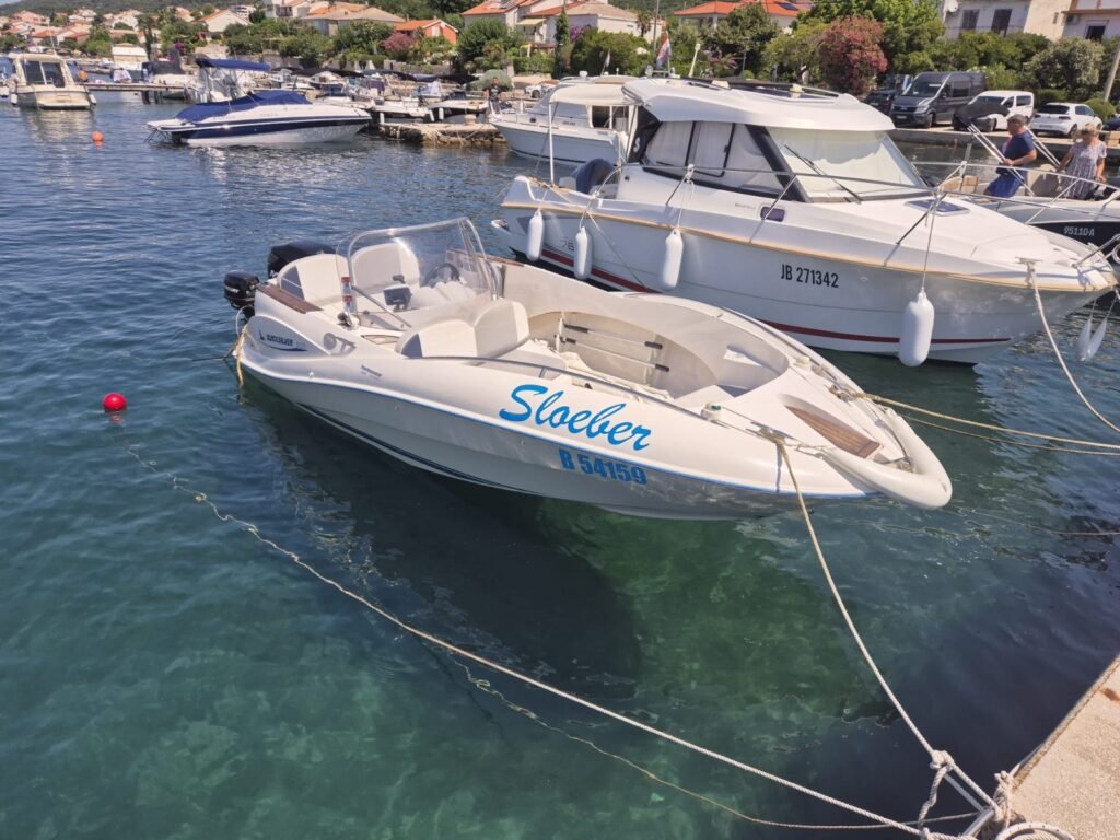 WhatsApp-Image-2026-01-11-at-16.44.28-2